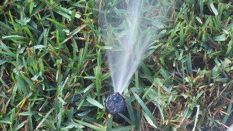 Sprinkler, Irrigation System Repairs in Palm Harbor, FL Sprinkler, Irrigation System Repairs in Palm Harbor, FL