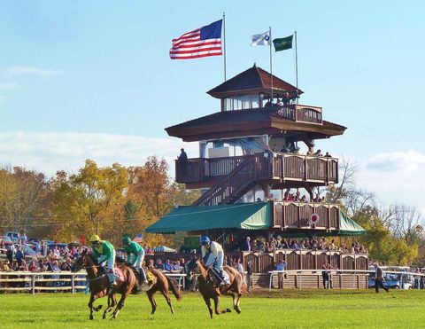 Far Hills Horse Race