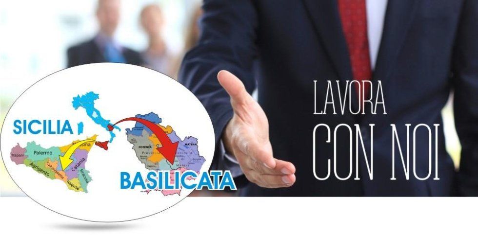lavora con noi lavora con noi