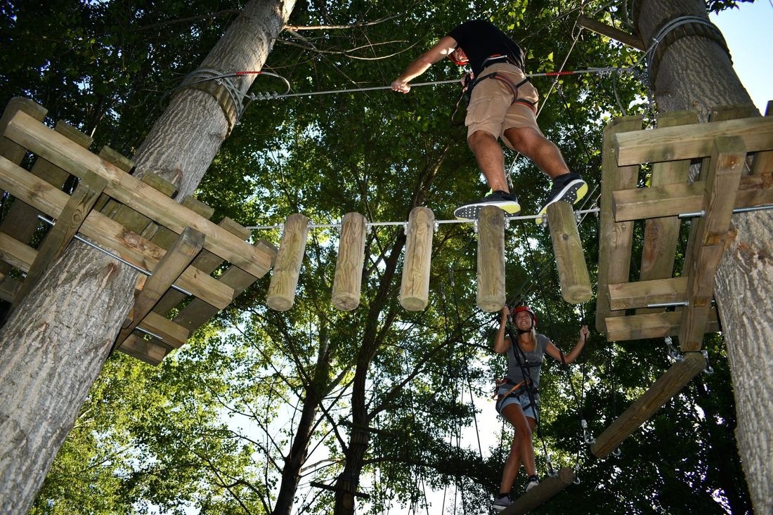 giochi sospesi fra gli alberi