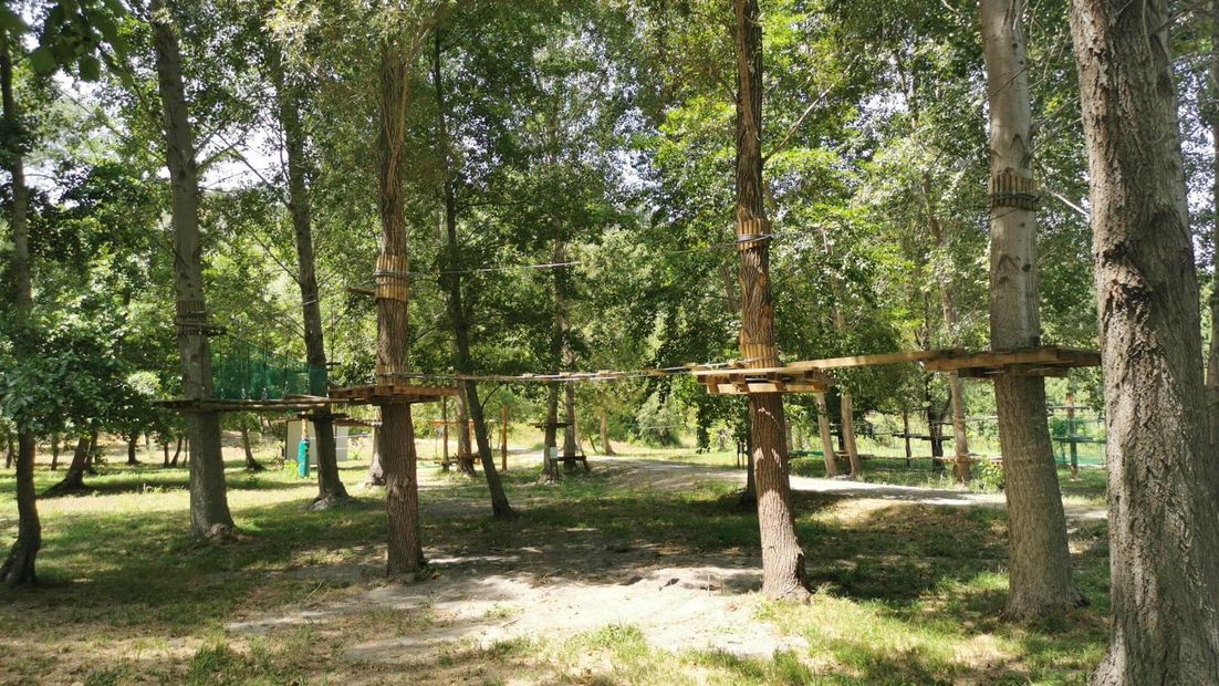 attività per gruppo scout