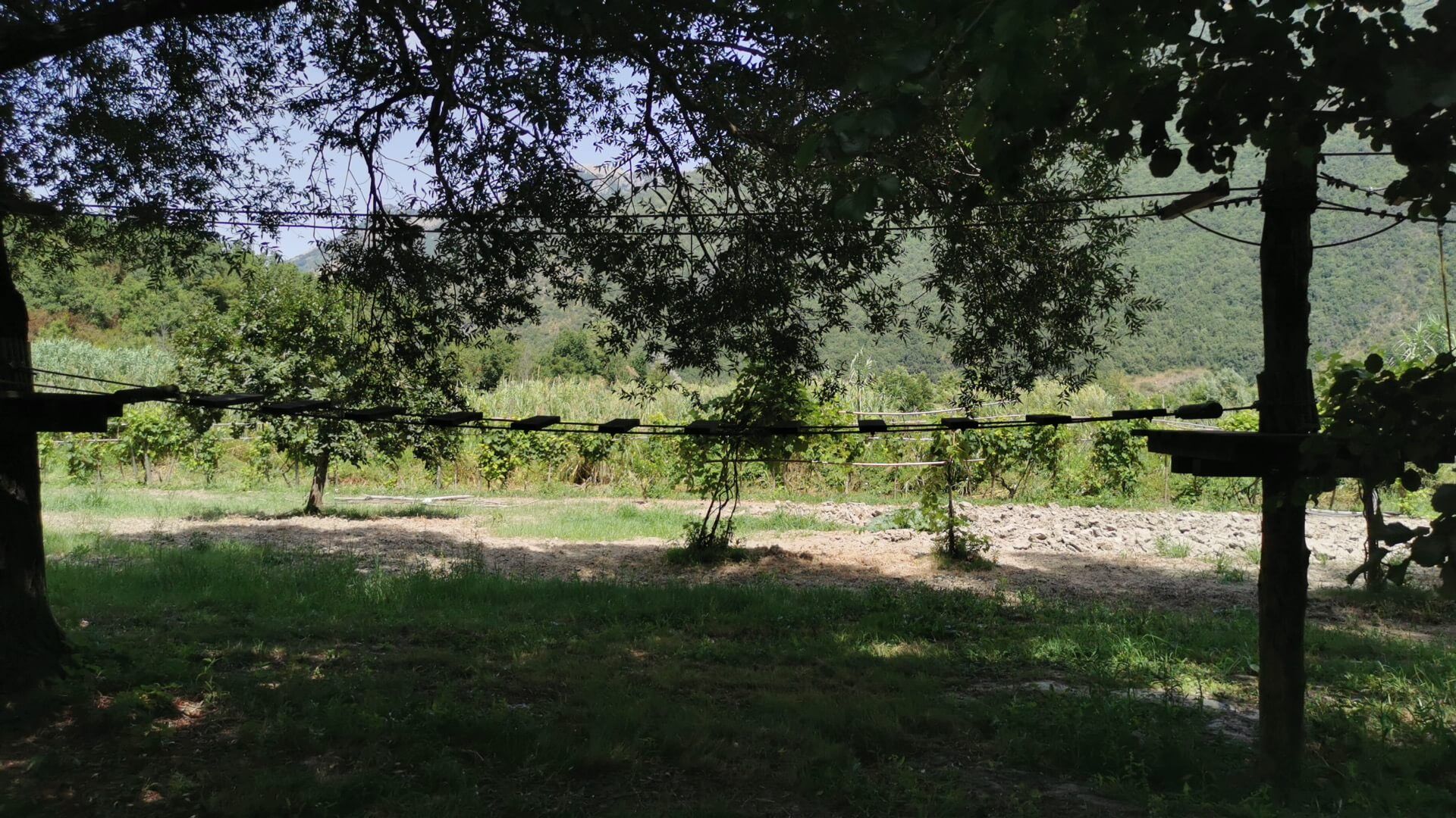 passaggi su ponti tibetani
