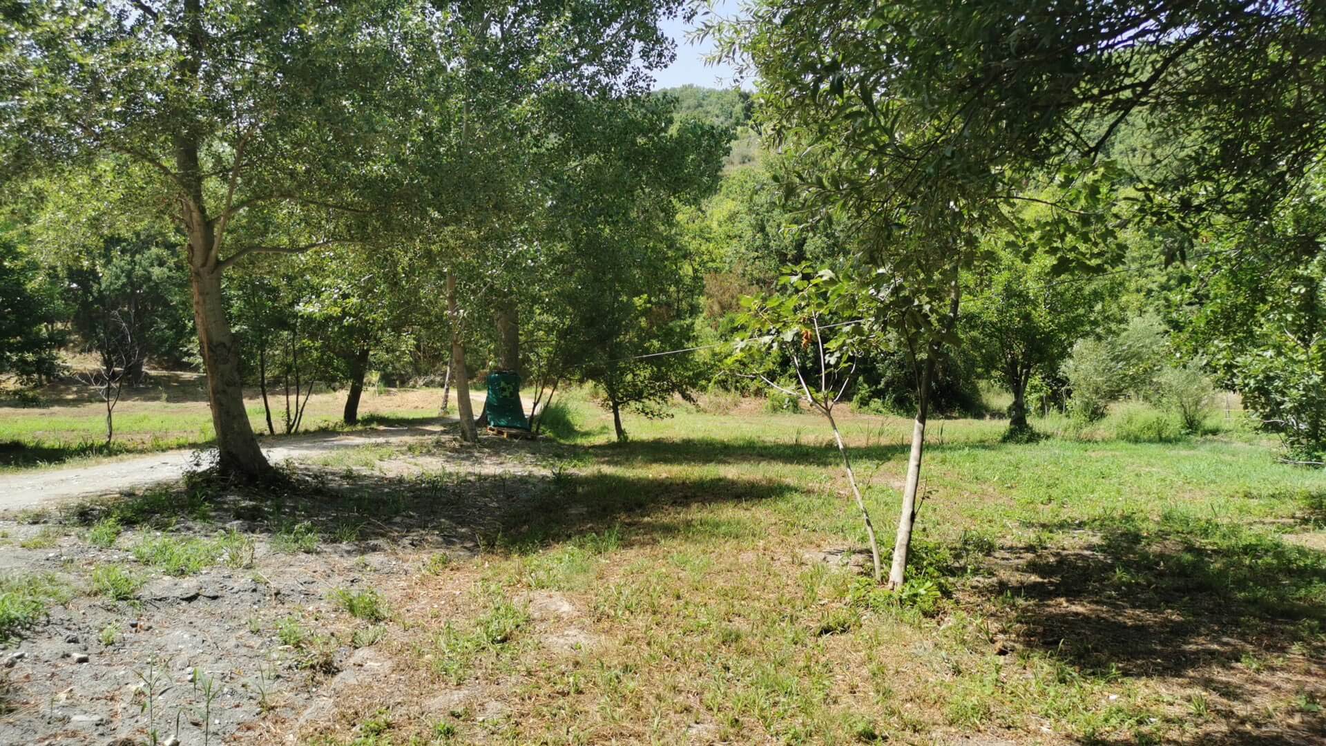 pranzo al parco