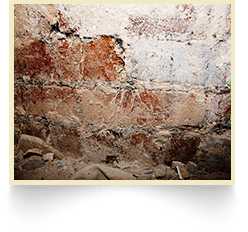 Dry & wet rot