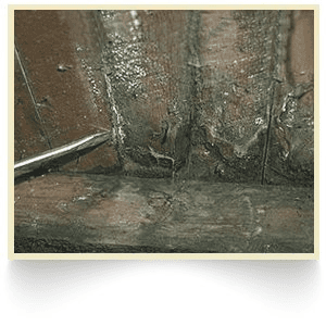Rotten wood