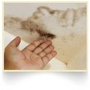 Rising damp