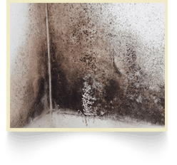 Damp control