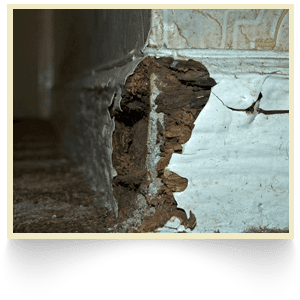 Damaged wall