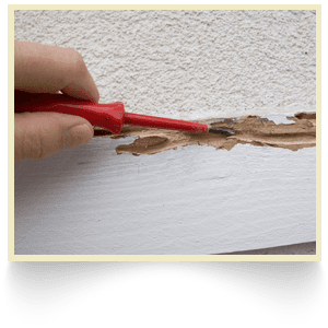 Woodworm treatment
