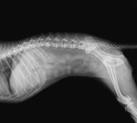 our surgery