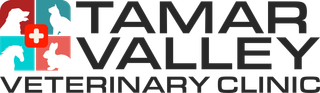 Tamar Logo