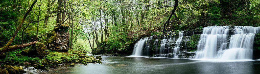 A small waterfall flowing into a river that passes through a wooded area.