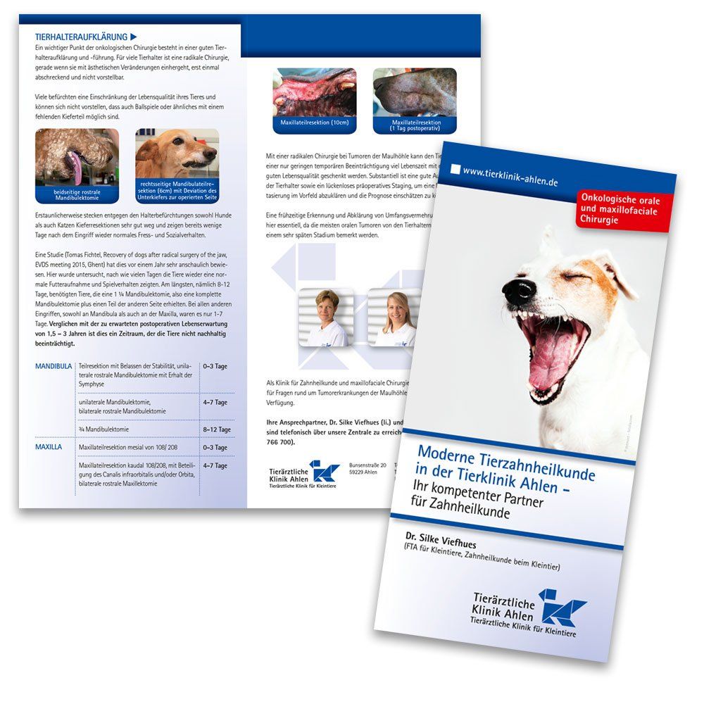 Tierklinik Flyer