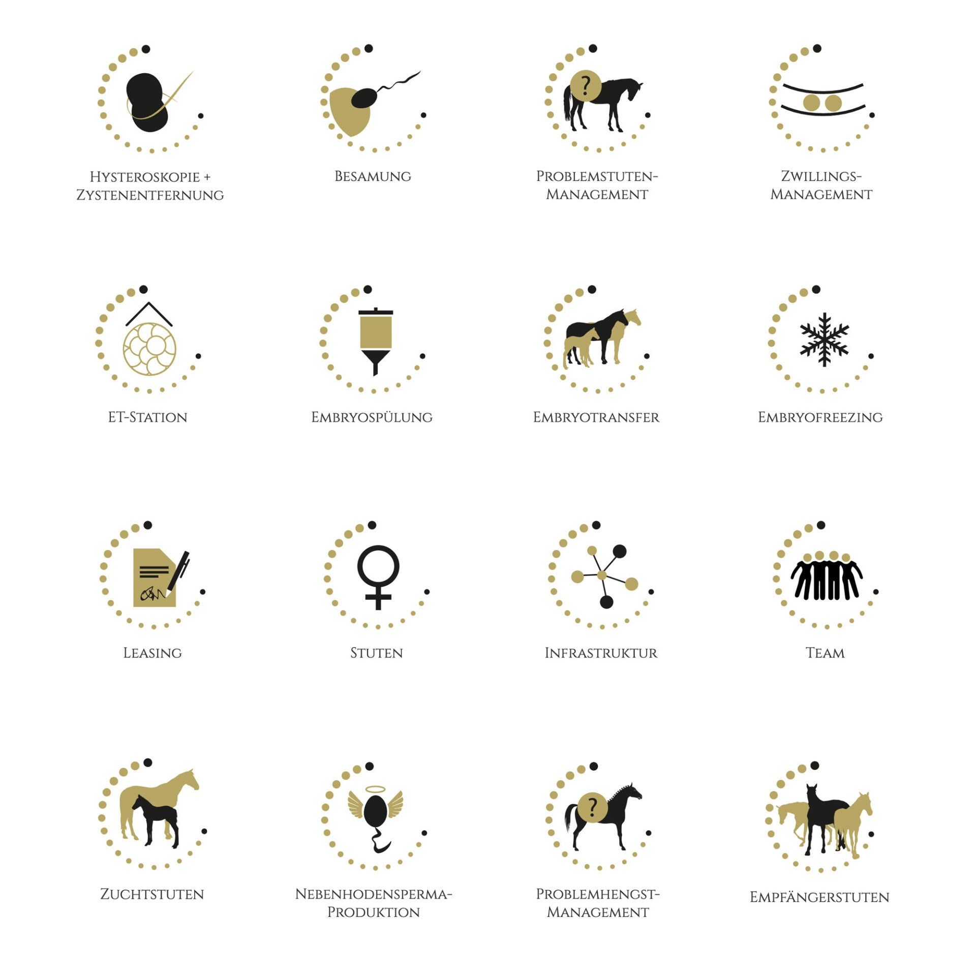 Tierarzt Webseite