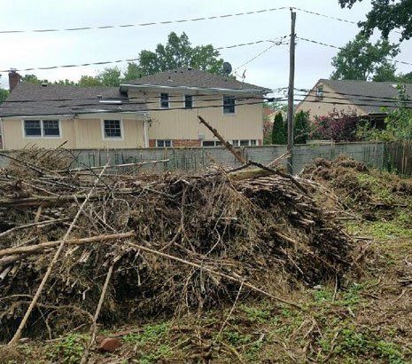 Cutted Bamboo — Long Island, NY — Bamboo Removal and Landscaping Design in Long Island by Jose Benitez Cutted Bamboo — Long Island, NY — Bamboo Removal and Landscaping Design in Long Island by Jose Benitez
