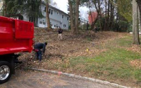 Men Doing Their Jobs — Long Island, NY — Bamboo Removal and Landscaping Design in Long Island by Jose Benitez