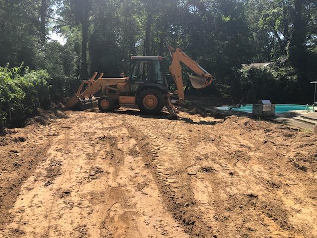 Crane — Long Island, NY — Bamboo Removal and Landscaping Design in Long Island by Jose Benitez