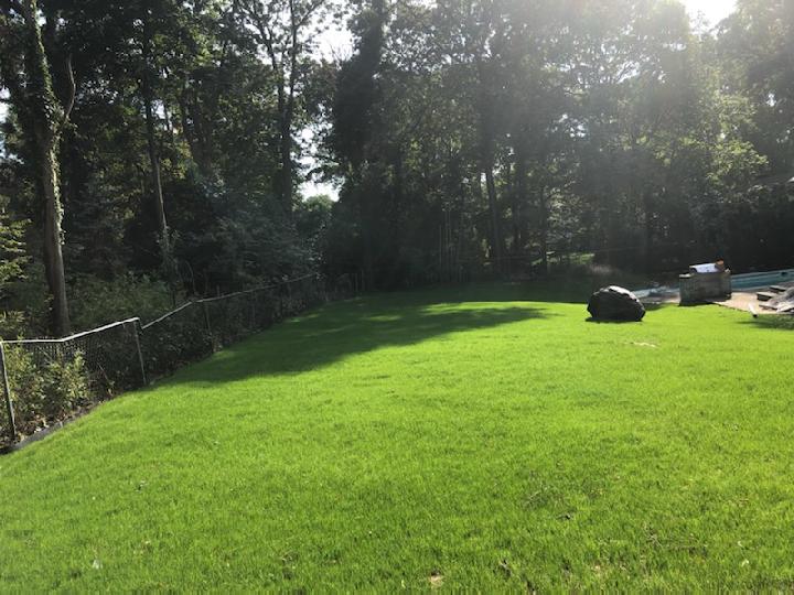 Lawn — Long Island, NY — Bamboo Removal and Landscaping Design in Long Island by Jose Benitez