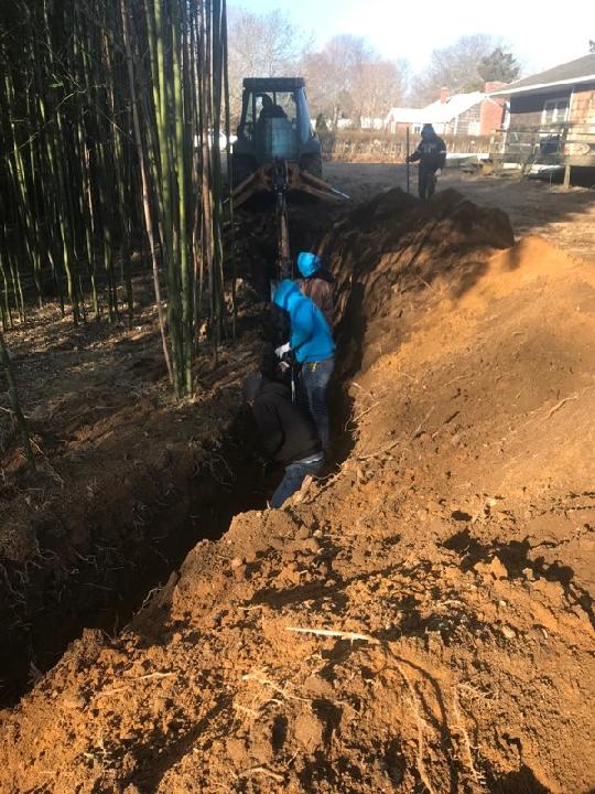 Men Removing the Bamboos — Long Island, NY — Bamboo Removal and Landscaping Design in Long Island by Jose Benitez