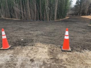 Ongoing Bamboo Removal — Long Island, NY — Bamboo Removal and Landscaping Design in Long Island by Jose Benitez