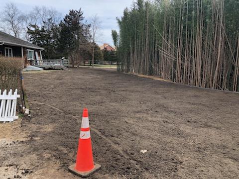 In Progress of Bamboo Removal — Long Island, NY — Bamboo Removal and Landscaping Design in Long Island by Jose Benitez