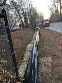Workers Doing Their Jobs — Long Island, NY — Bamboo Removal and Landscaping Design in Long Island by Jose Benitez