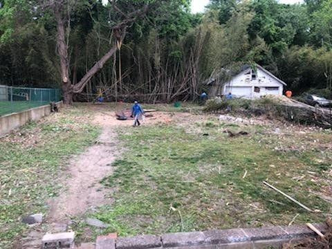 Worker — Long Island, NY — Bamboo Removal and Landscaping Design in Long Island by Jose Benitez