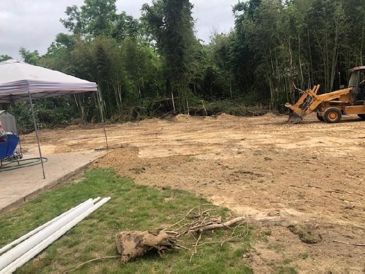 Bamboo Removal Services — Long Island, NY — Bamboo Removal and Landscaping Design in Long Island by Jose Benitez