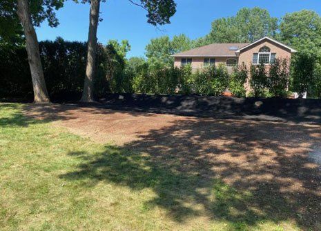 Bamboo Removal — Long Island, NY — Bamboo Removal and Landscaping Design in Long Island by Jose Benitez Bamboo Removal — Long Island, NY — Bamboo Removal and Landscaping Design in Long Island by Jose Benitez