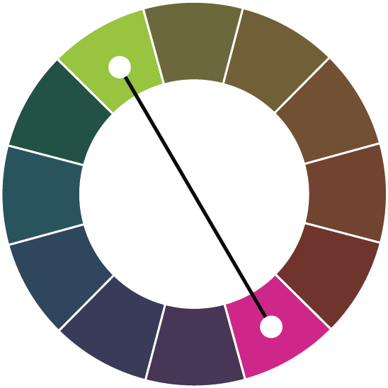 Ein Farbrad mit komplementären Farben.