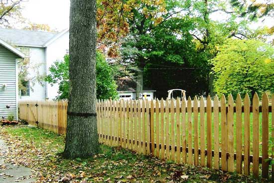 Fence Installation — Wood Fence in Front of a Tree in Grand Rapids, MI