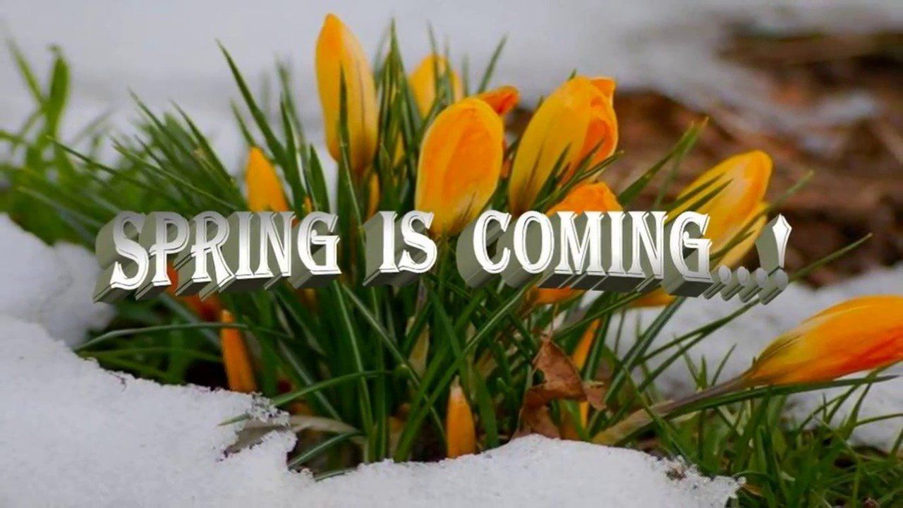 Get your car ready for spring