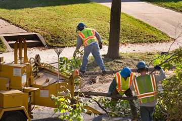 men-clearing-the-lot men-clearing-the-lot