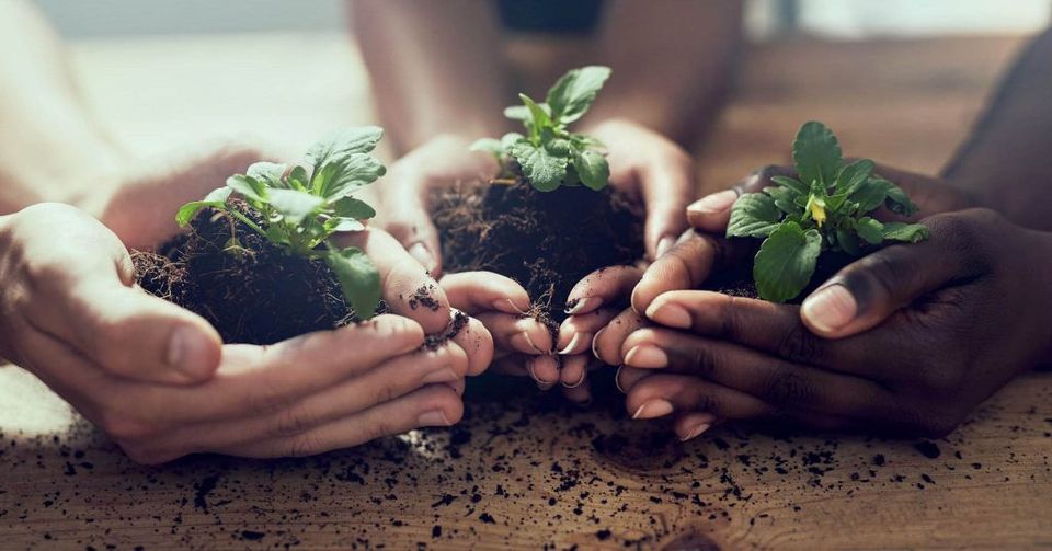 growing a community