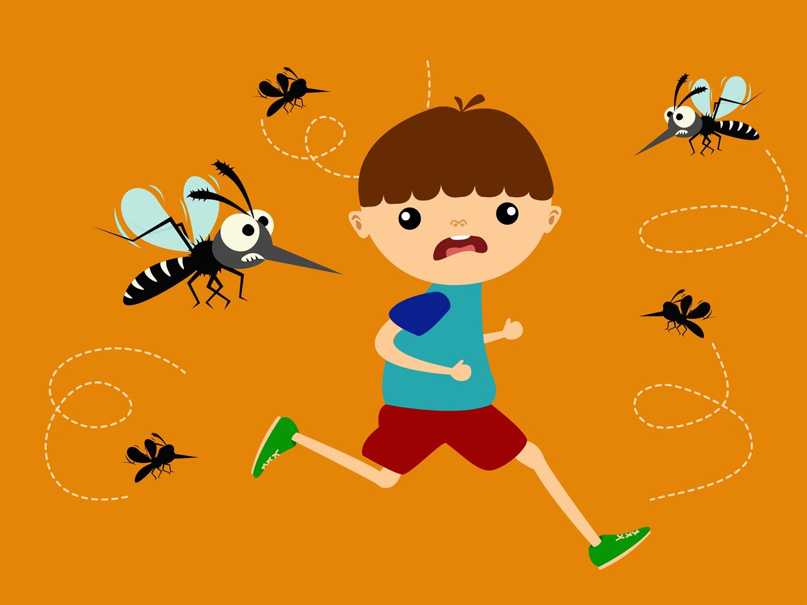 Mosquito removal gympie