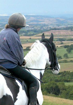 Saddle fitter - Halesworth, Suffolk - Juddpurs Saddlery - horse Saddle fitter - Halesworth, Suffolk - Juddpurs Saddlery - horse