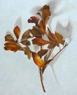 2013-2014 Faith Scott Jessup Gallery