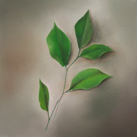 Compendium, No. 12, Basil