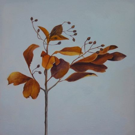 Compendium, No. 13, Branch