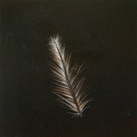 Compendium, No. 19, Feather