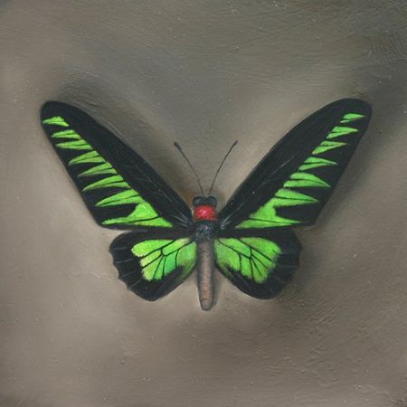 Compendium, No. 24, Brookiana