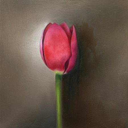 Compendium, No. 31, Tulip