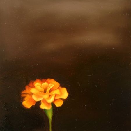Compendium, No. 34, Marigold