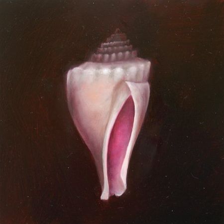 Compendium, No. 9, Shell