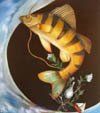 2008-2009 Faith Scott Jessup Gallery