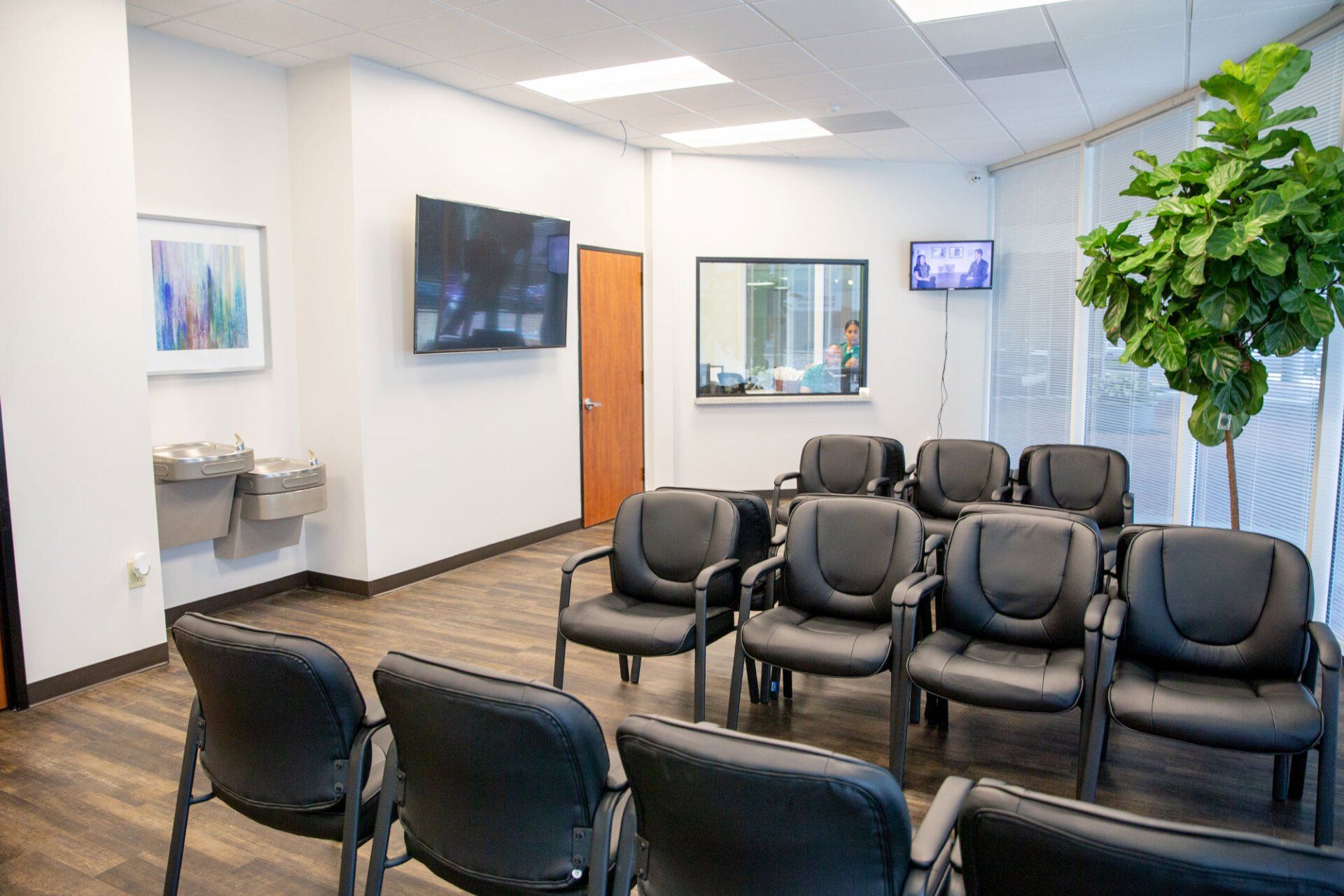 A waiting room with black chairs arranged in rows, a wall-mounted TV, a water fountain, and a large indoor plant.