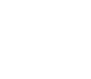 Logo icon
