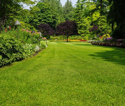 Landscaping Contractors — Beautiful Trees and Landscape in Little Rock, AR Landscaping Contractors — Beautiful Trees and Landscape in Little Rock, AR