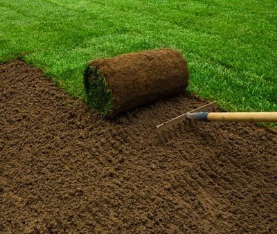 Chemical Lawn Care — Lawned Garden in Little Rock, AR Chemical Lawn Care — Lawned Garden in Little Rock, AR