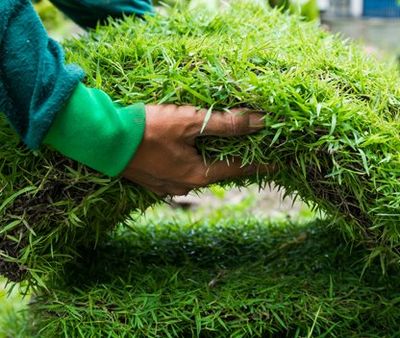 Landscaping Design — Planting New Grass in Little Rock, AR Landscaping Design — Planting New Grass in Little Rock, AR